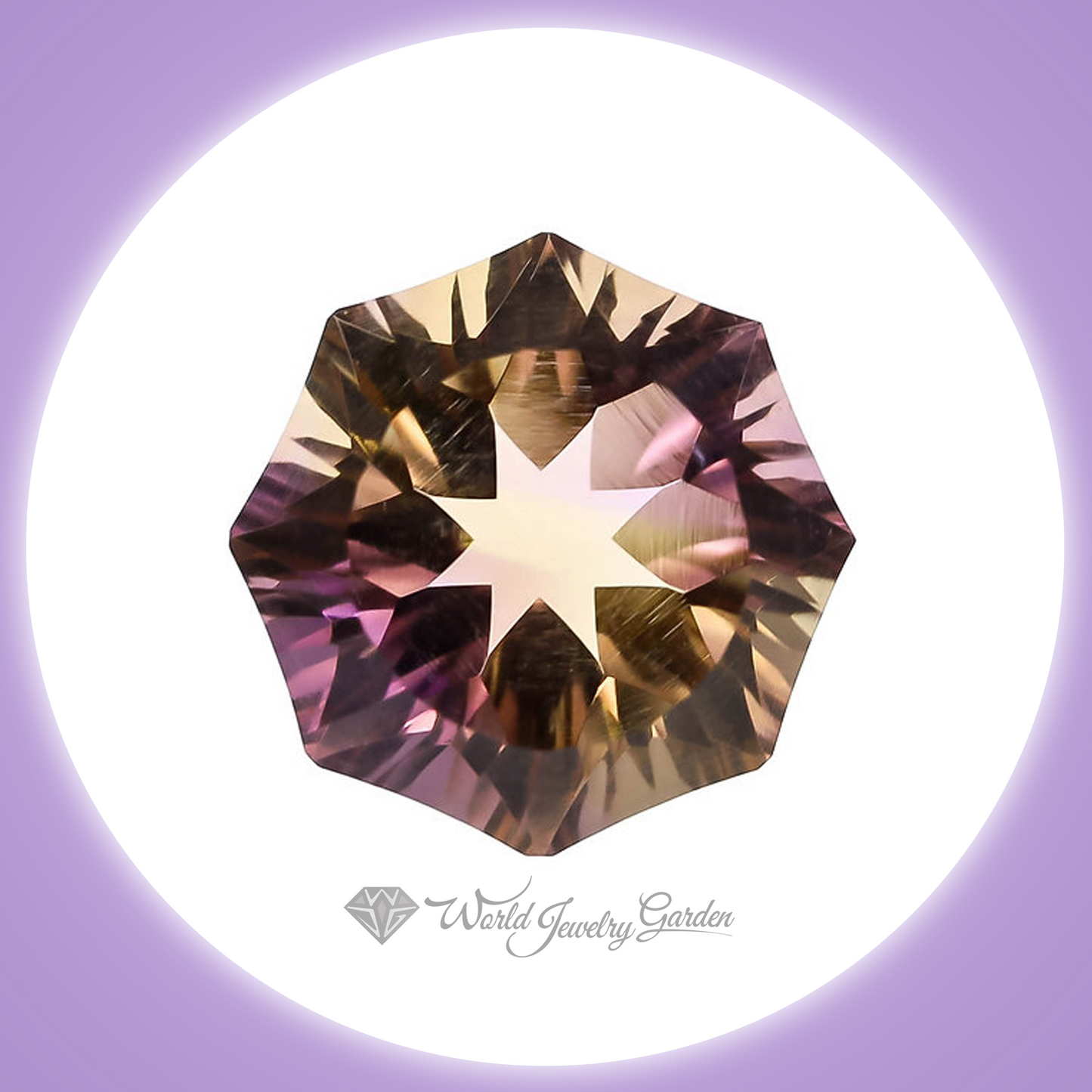 紫黄晶 6.73 克拉珍贵彩色宝石 ~珍贵彩色宝石~ wc0018OSAM0005