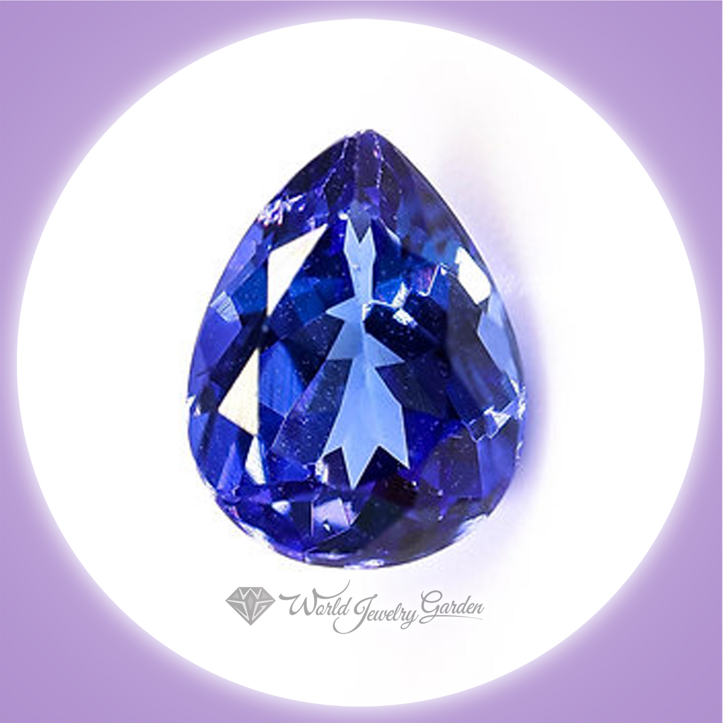 坦桑石 1.75 克拉珍贵彩色宝石 ~珍贵彩色宝石~ wc0089OSTZ0015