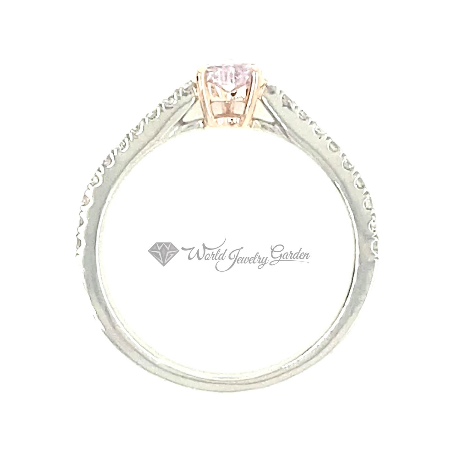 ダイアモンドフラワーリング 0.027カラット FANCY Light PURPLISH PINK Fancy Vivid Color Diamonds~ファンシービビッドカラーダイアモンズ~ wr0014JRT0043