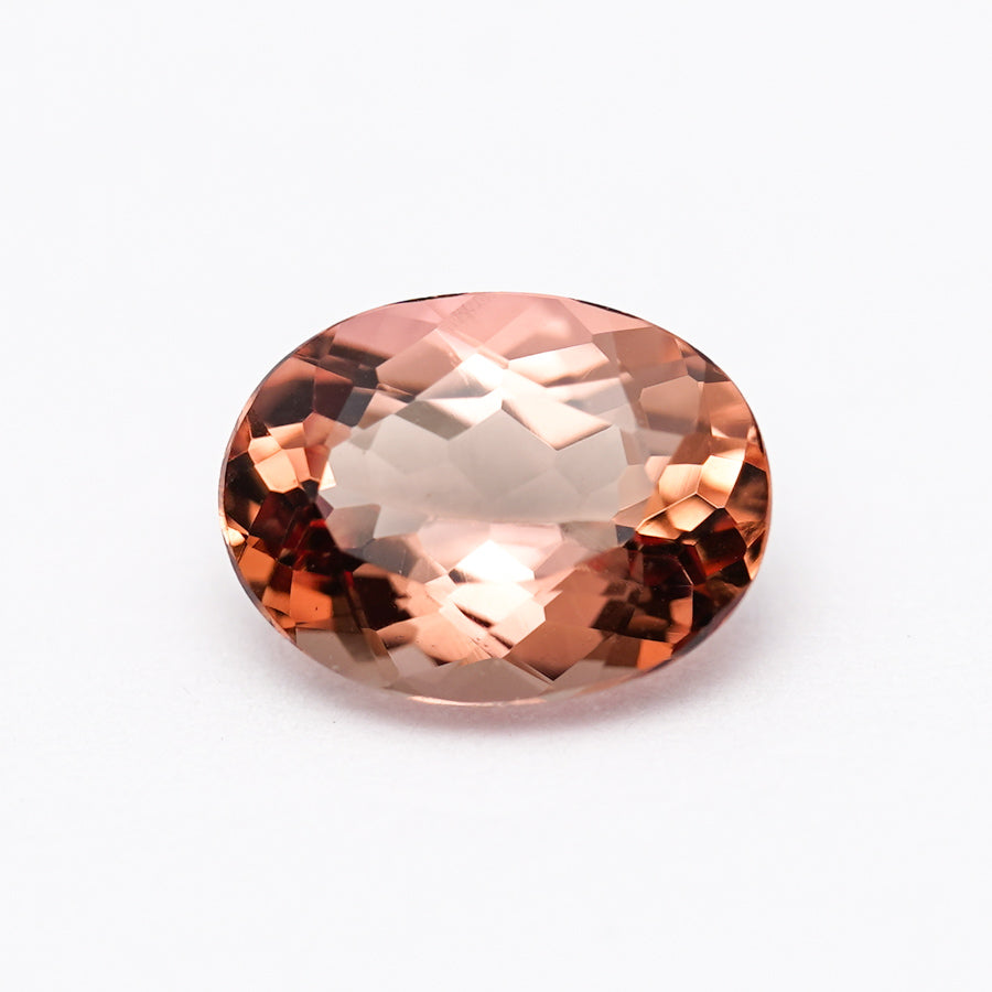 コレクション – World Jewelry Garden