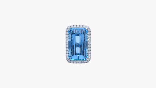Aquamarine Ring Pt950_Rara Bellezza 〜ララ ベレーツァ 稀代の美〜