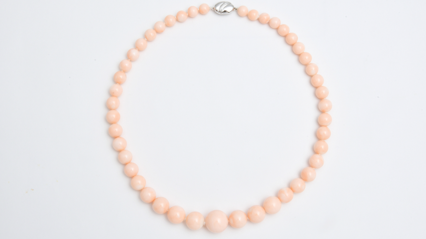Timeless Coral ― SV サンゴ 連珠ネックレス